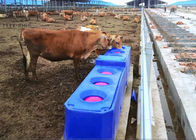 連続流自動プラスチック牛飼い葉桶飲用飼い葉桶回転成形用